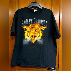 Bruce Rossmeyers Harley Davidson HD, flame pig boar, fire & smoke, XL biker